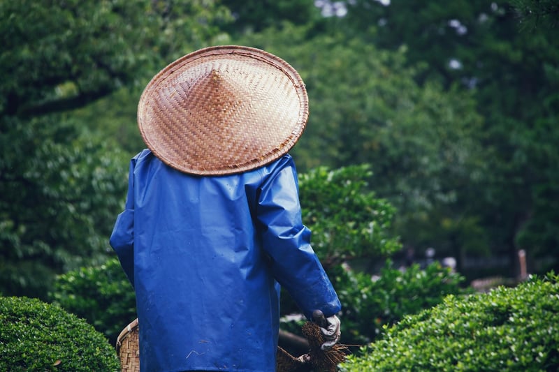 Garden Maintenance